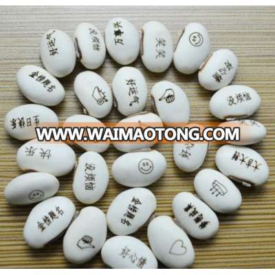 Magic White Bean Seeds Gift Plant Growing Message Word Love